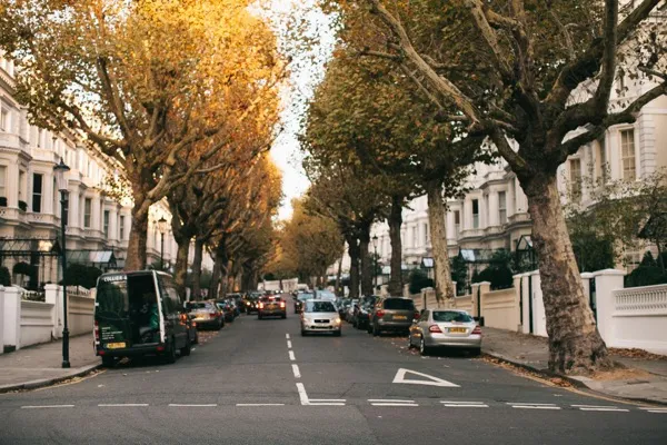 Tree-lined urban street with mature canopy for vegetation inventory mapping